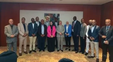 بعد نجاحها الكبير.. 5 دول أفريقية تضع قطاع الكهرباء في مصر تحت المجهر 1